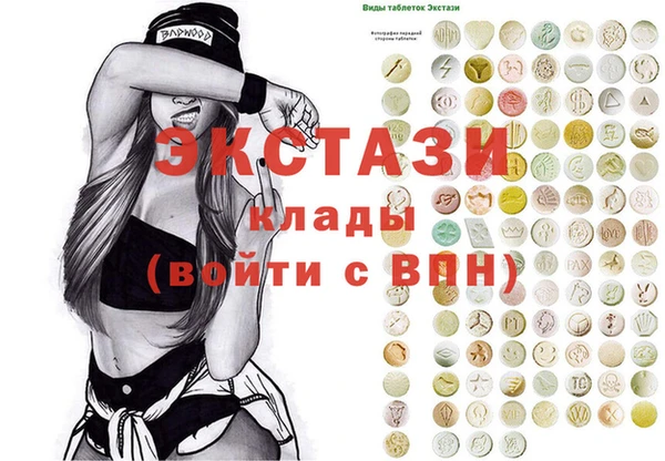 индика Беломорск