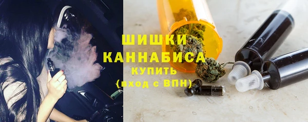 индика Беломорск