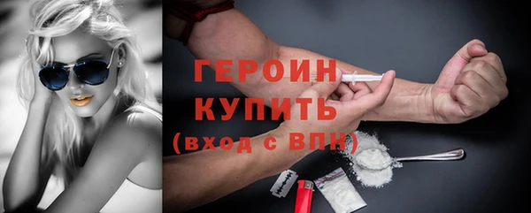 индика Беломорск