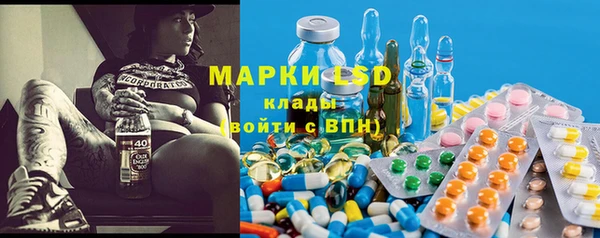 индика Беломорск