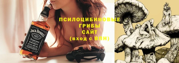 индика Беломорск