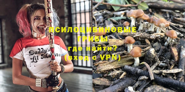 не бодяженный Белокуриха