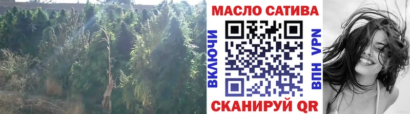закладки  Мезень  ТГК вейп 
