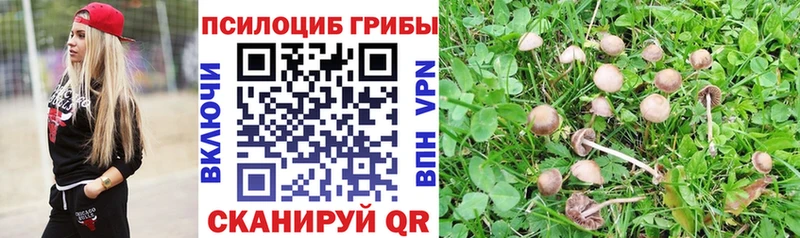 Галлюциногенные грибы GOLDEN TEACHER  сайты даркнета официальный сайт  Мезень 